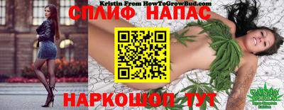 гашик Можга