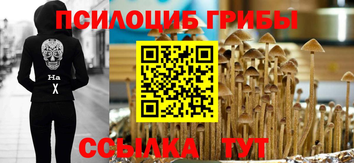 Галлюциногенные грибы Psilocybine cubensis Чехов
