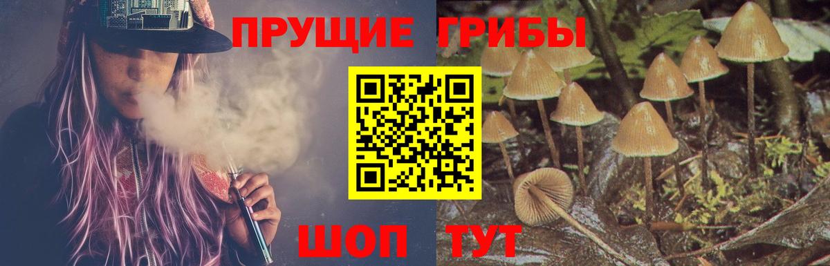 Чехов  Галлюциногенные грибы прущие грибы  Вход с VPN 
